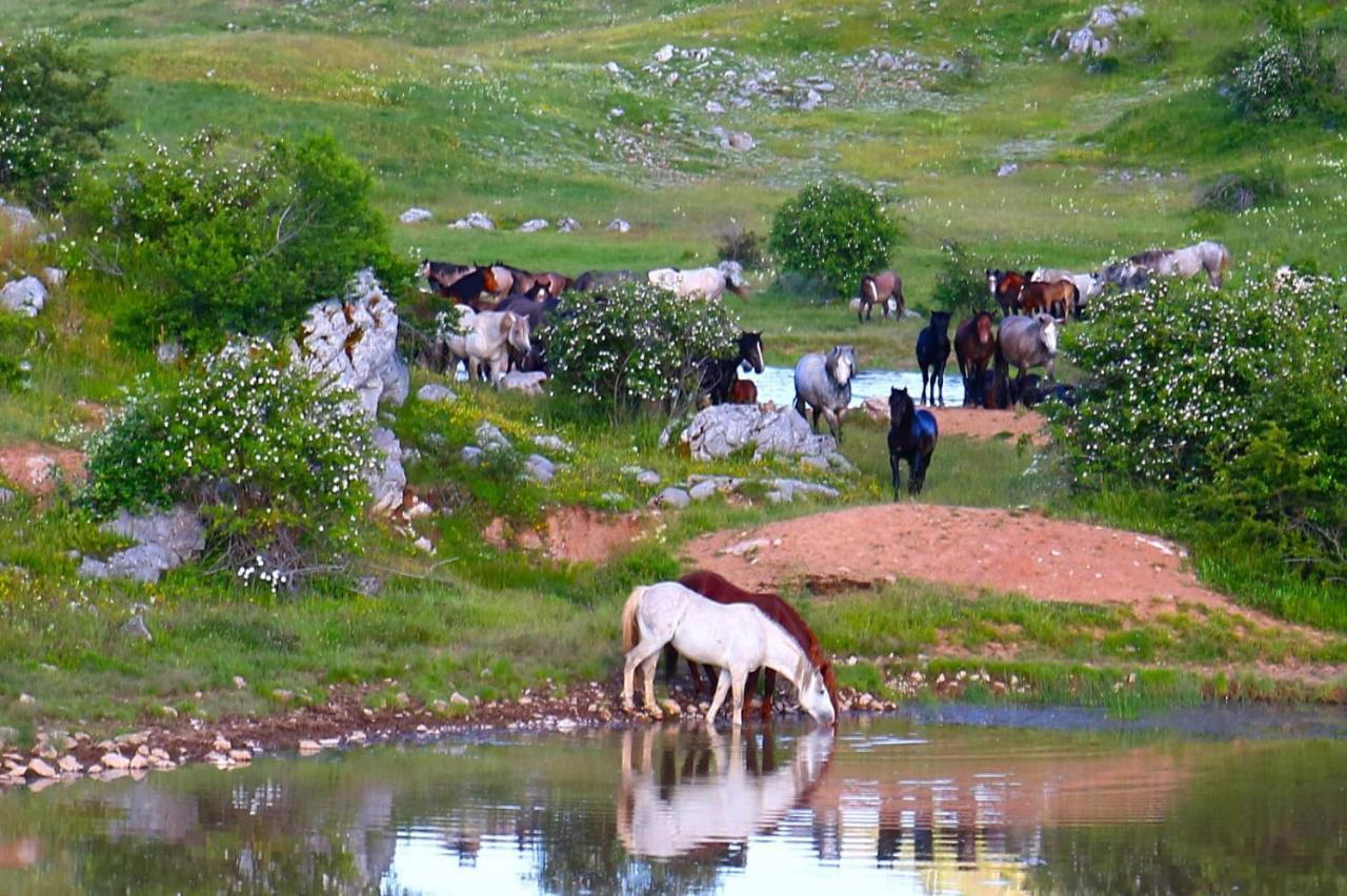 Apartman "Park" Livno Luaran gambar